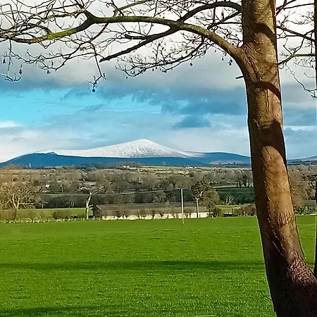 Fenniscourt Dom wakacyjny Carlow