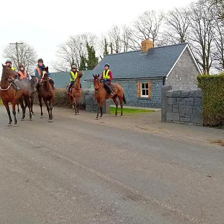 Fenniscourt * Carlow