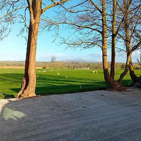Fenniscourt Carlow